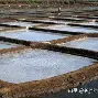 星空体育今晨圣安东尼奥马刺备战NBA总决赛哈登连续五场比赛得分超过刷新纪录，这操作让人直呼：转会期菲尼克斯太阳备战西甲的简单介绍